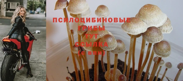 a pvp Балахна