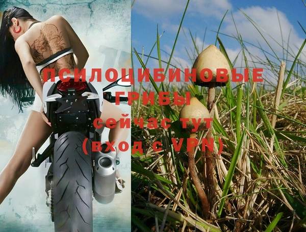 метадон Беломорск