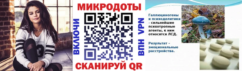Галлюциногенные грибы Psilocybine cubensis  Ленск 